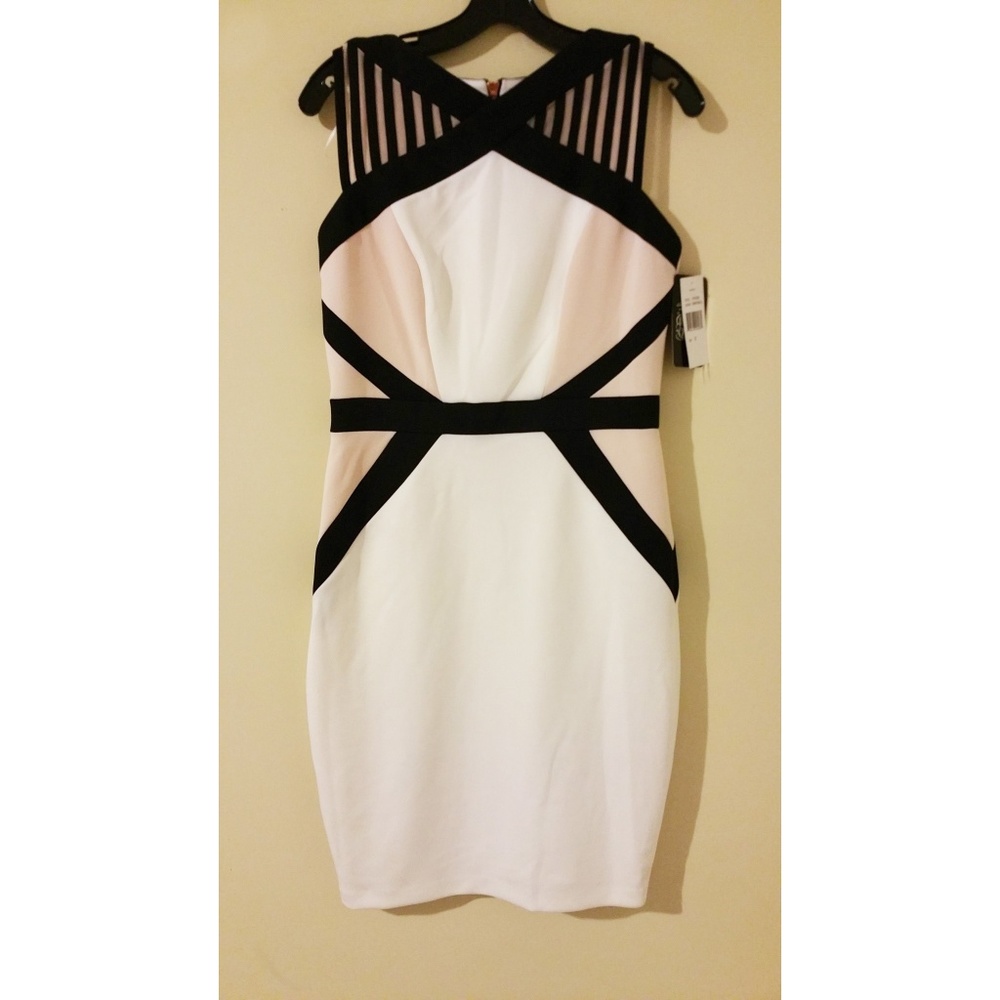 NWT JAX Pink White Sheath Dress